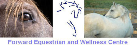 Forward Equestrian and Wellness Centre - Clicked 208 times