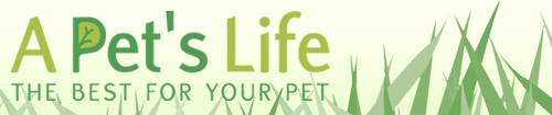 A Pet's Life - Clicked 277 times